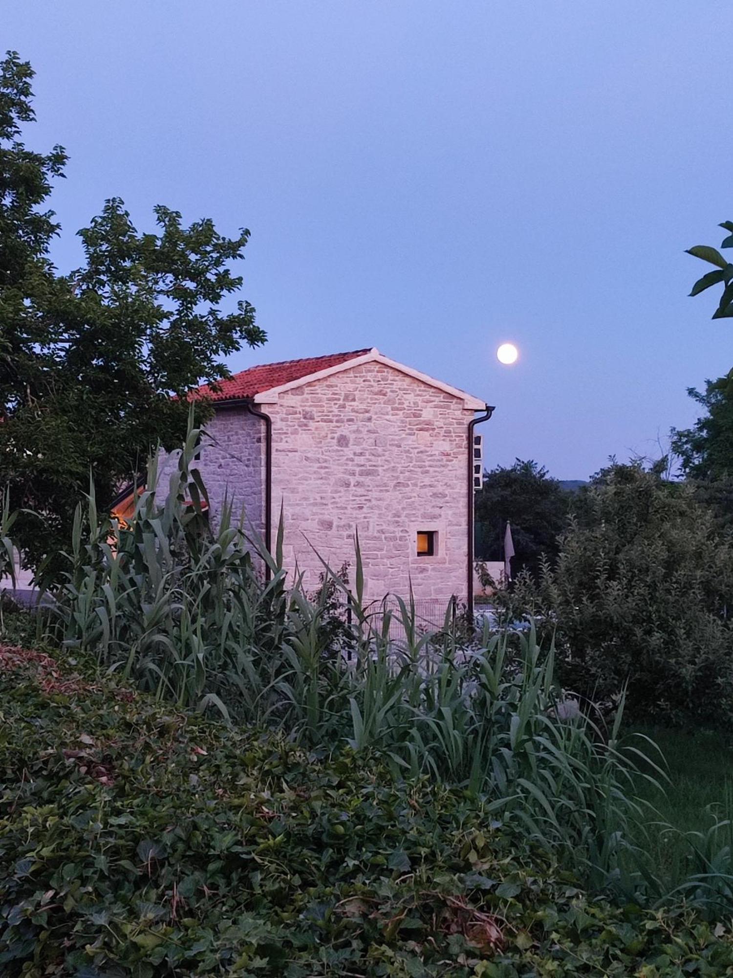 Villa Lita Pazin Exterior photo